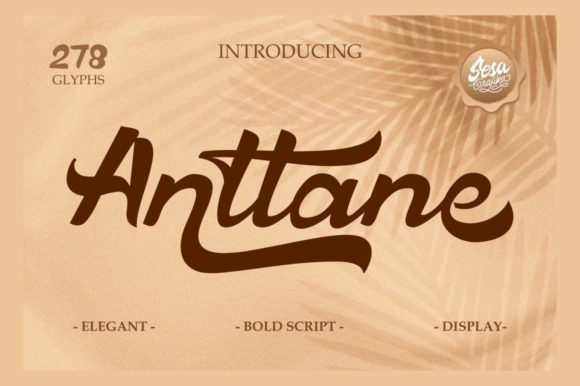 Anttane Bold Retro Script Font for Modern Branding