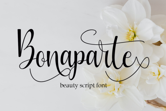 Bonaparte: Elegant Script Font for Modern Web Design