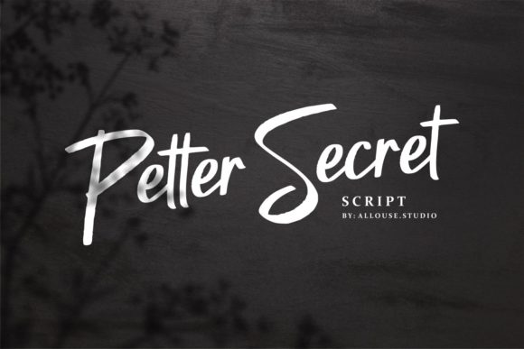 Petter Secret Brushed Script Font for Editorial Design