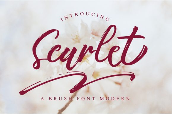 Scarlet: The Quirky Brush Script Font for Polished Brand Visuals