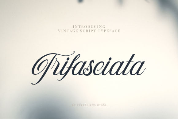 Trifasciata: The Handwritten Typeface for Authentic Brand Identity