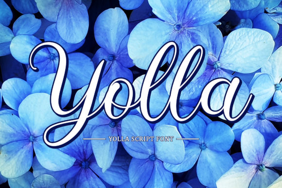 Yolla Script Font for Elegant Branding and Packaging Design